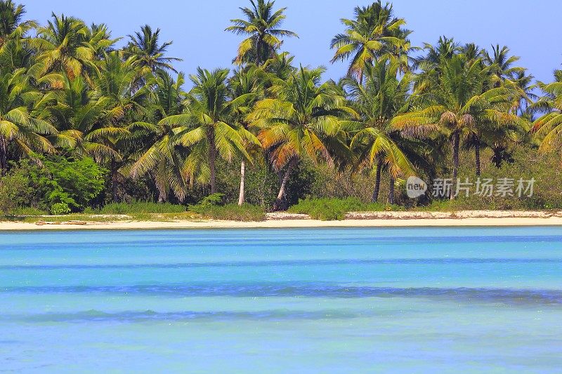 热带天堂:沙漠荒芜的绿松石海滩，Saona岛，Punta Cana -多米尼加共和国